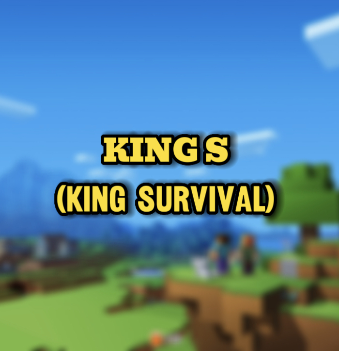 【苹果】King S